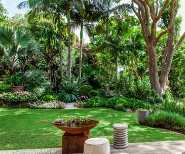 A shady garden with trees and green shrubs