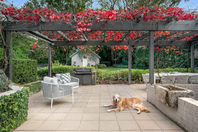 pergola