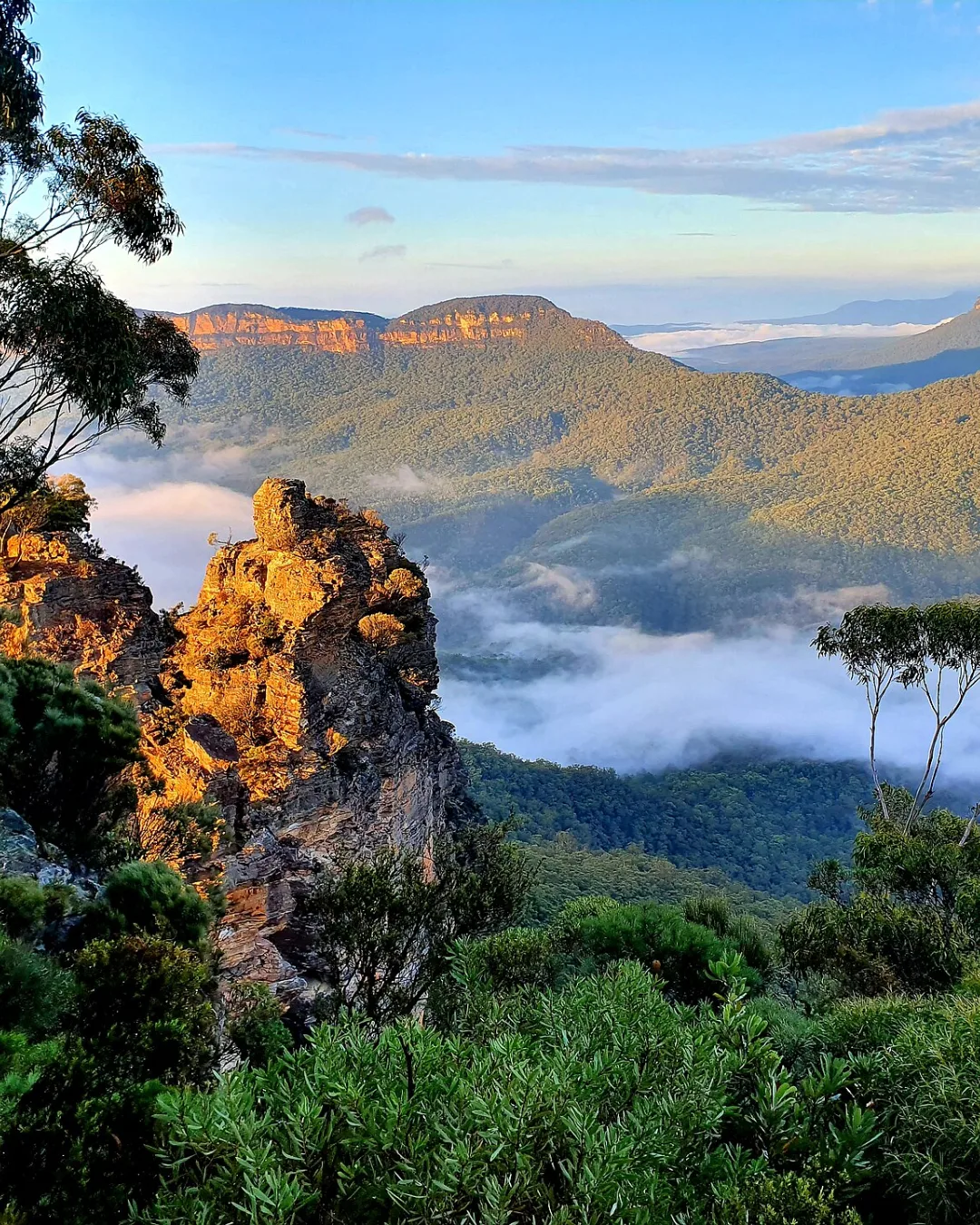 Blue Mountains 