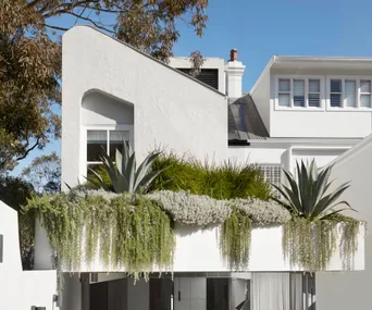small-inner-Sydney-terrace-rear-exterior-rooftop-garden