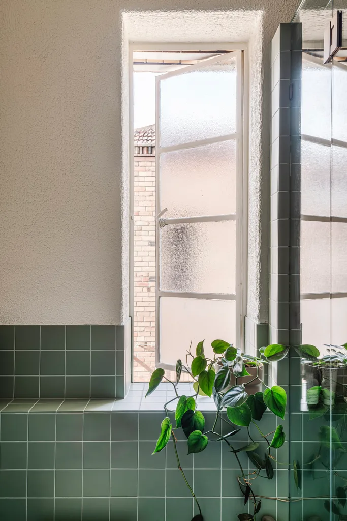 bathroom-window