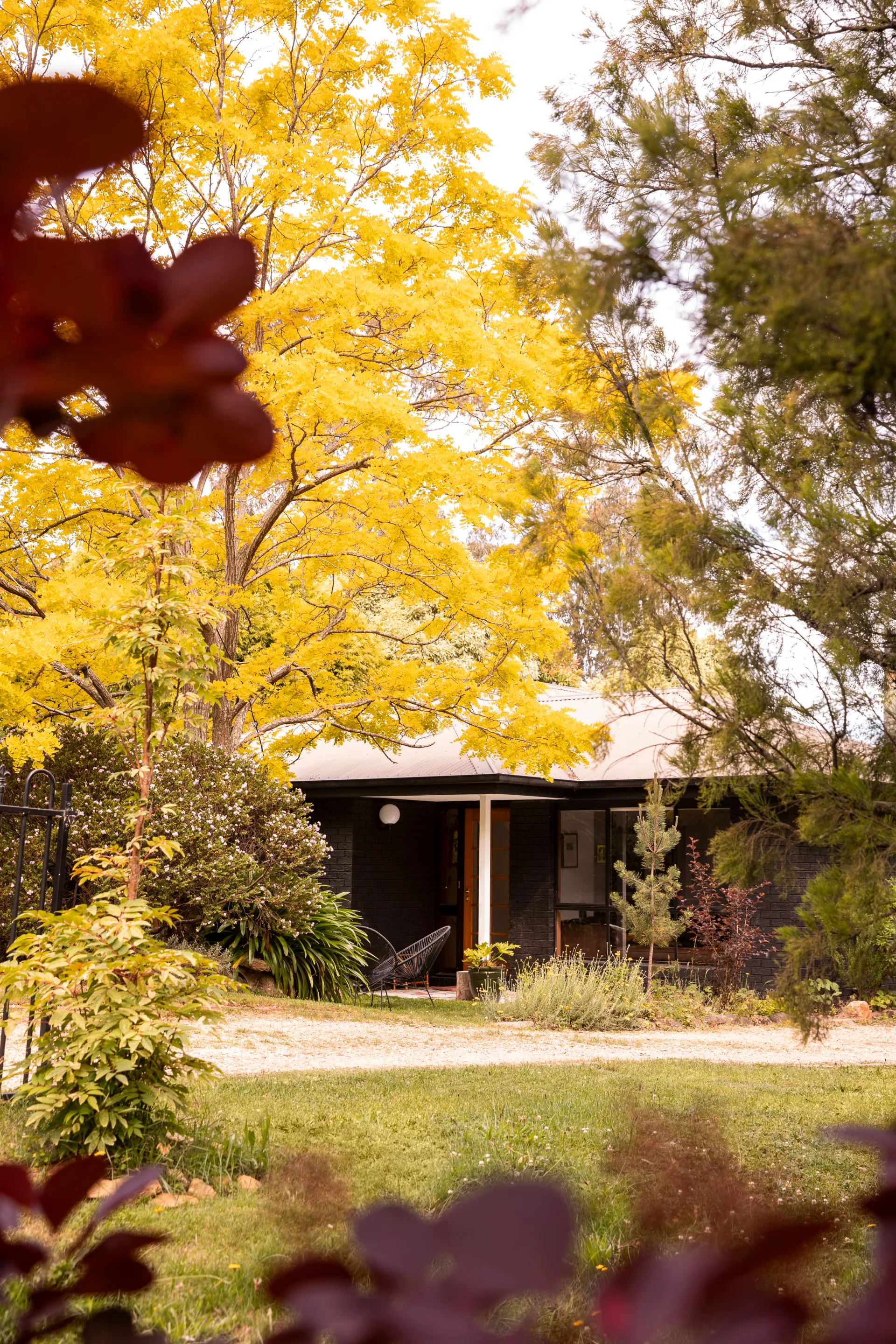 blackwood-bungalow-exterior-trees