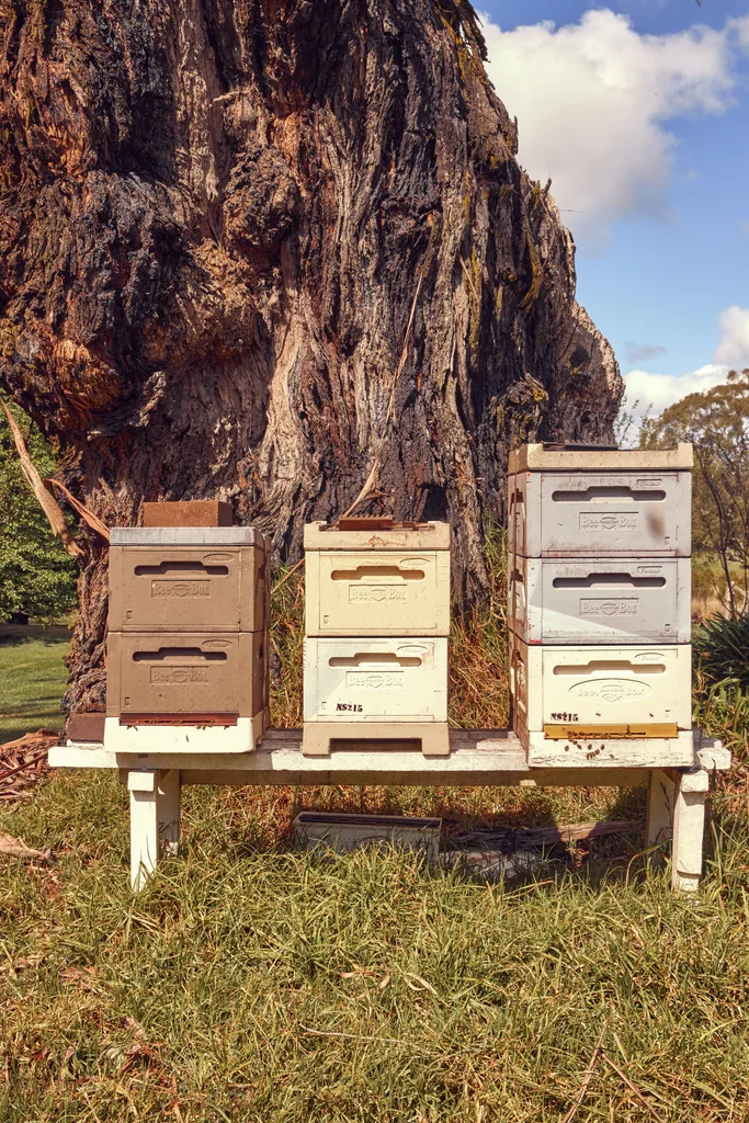 Stacked beehive boxes on a bench