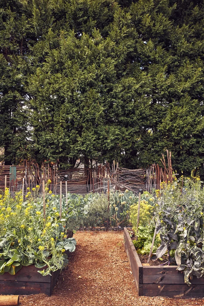 Rustic garden beds made with timber sleepers