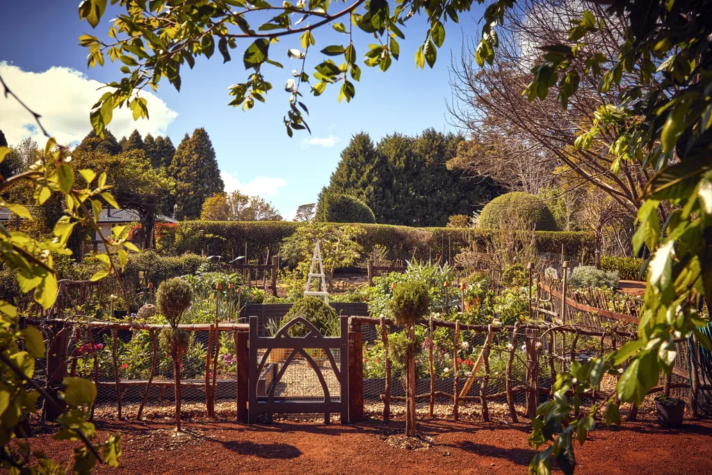 A lush and leafy garden framed by branches and fenced with branches