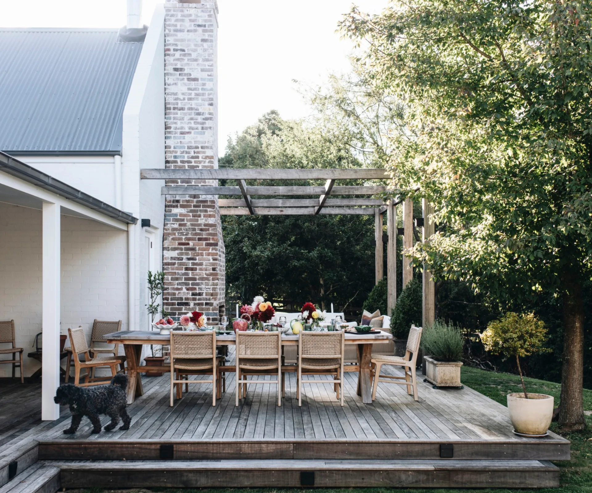 Alfresco dining area on a timber deck surrounded by trees