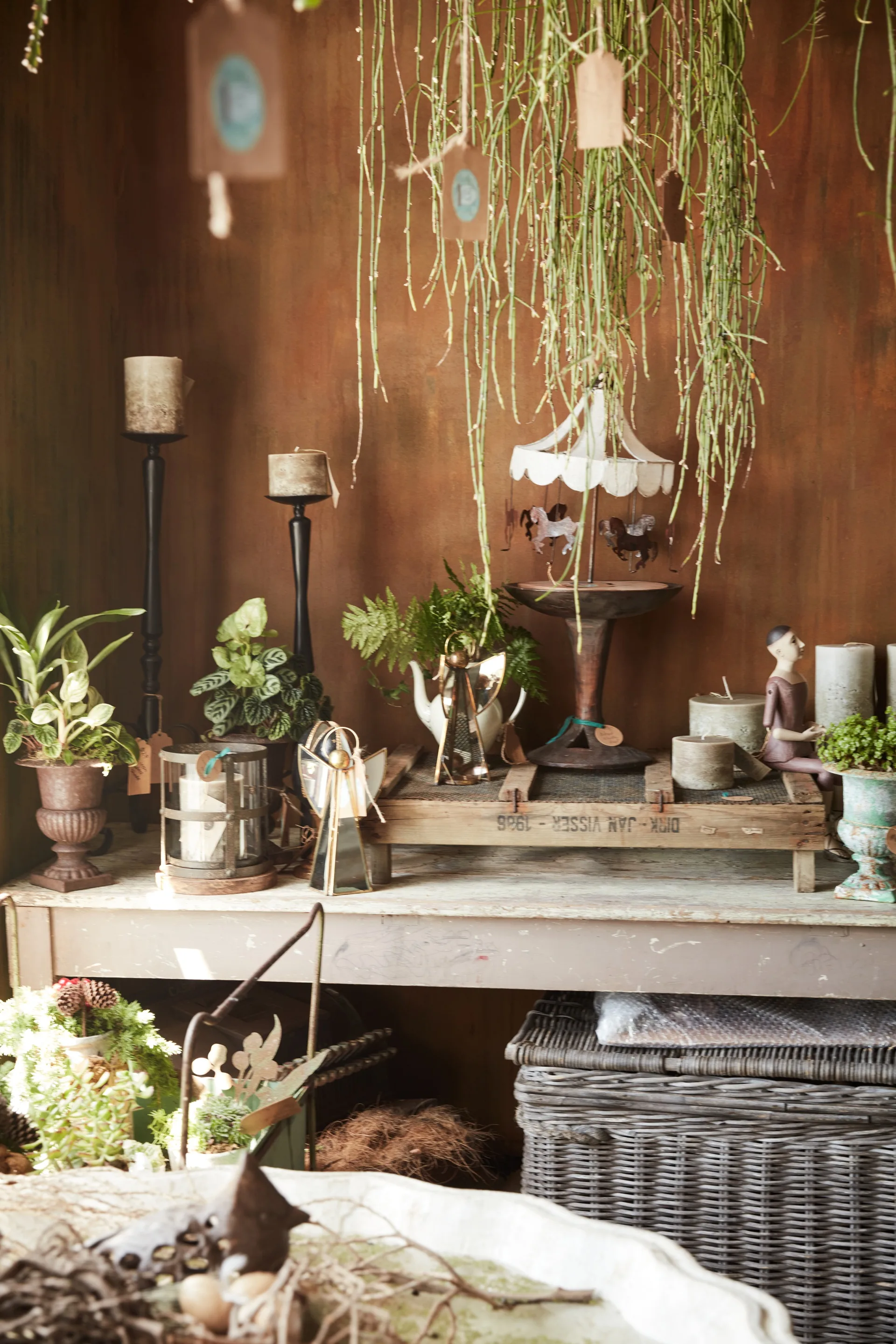 Close up of plants in antique pots