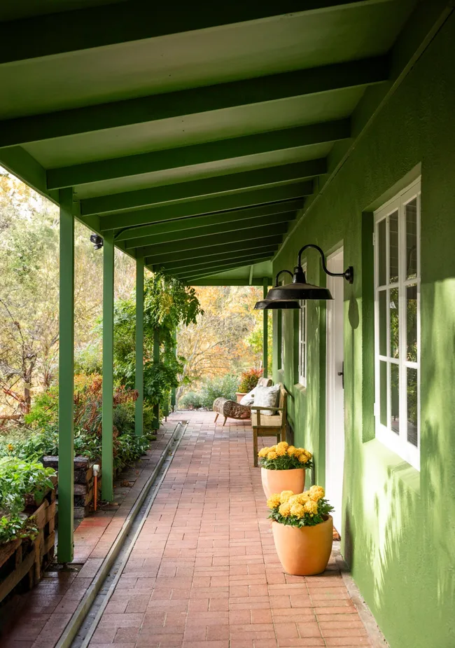 A green homestead with a paved verandah