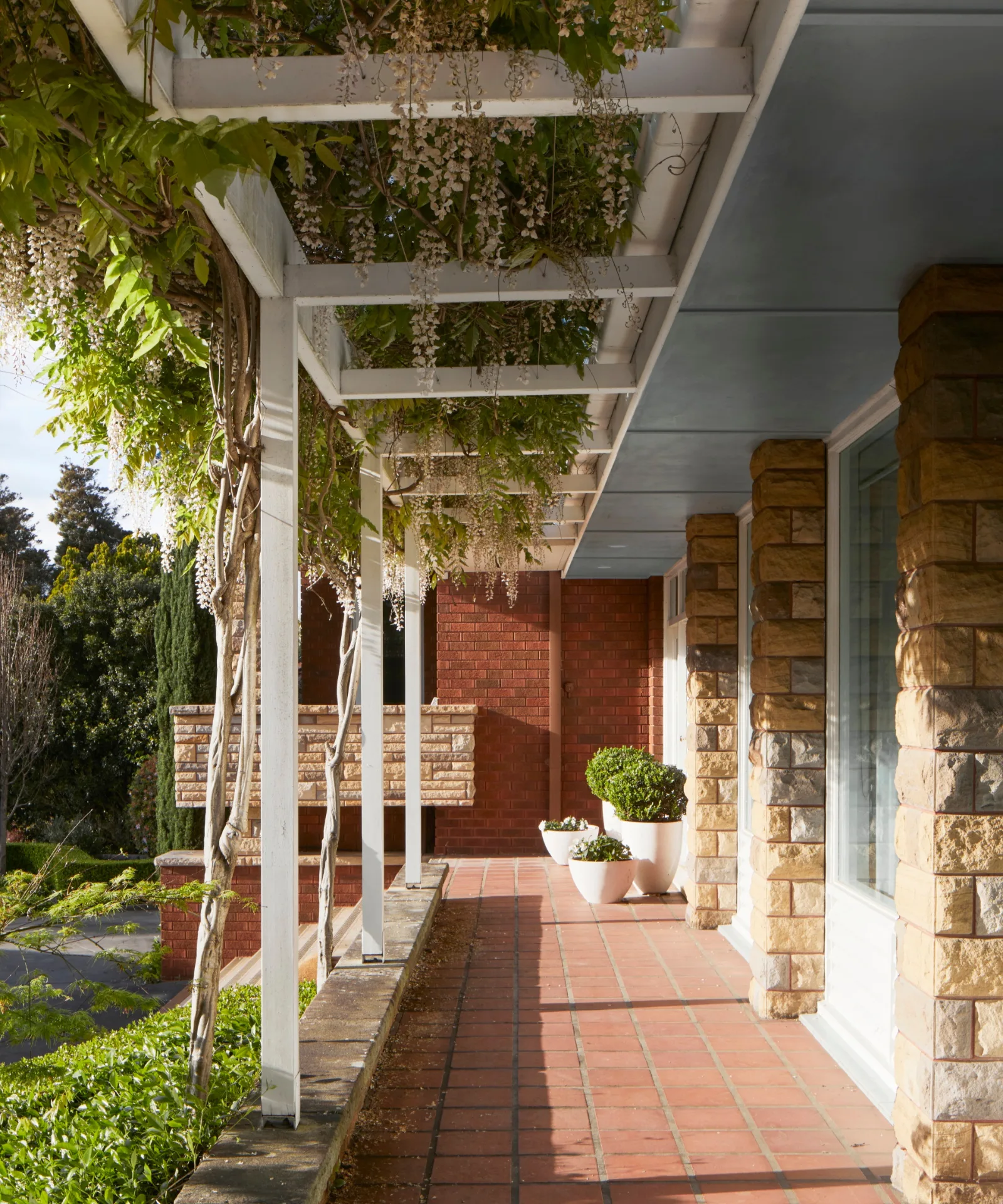 Exterior of a mid-century home in Newcastle covered in wisteria