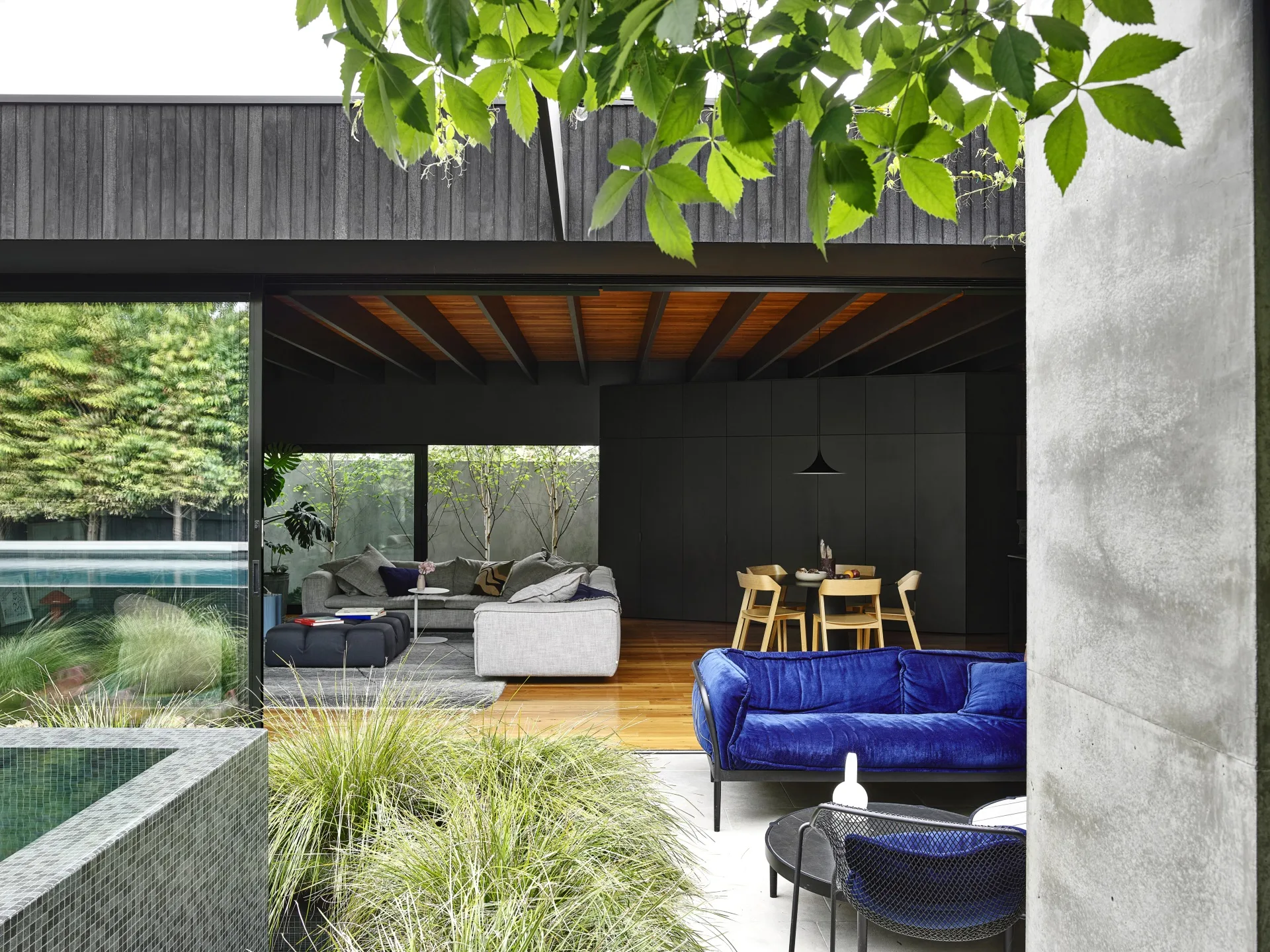 Ben-Scott-Garden-Design-landscape-victorian-villa-biophilic-design-indoor-outdoor-pool-blue-couch