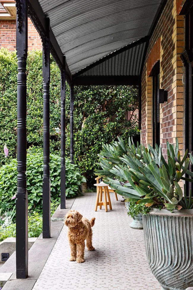 The front porch of a Victorian villa where a small dog looks out and pot plants line the brick exterior