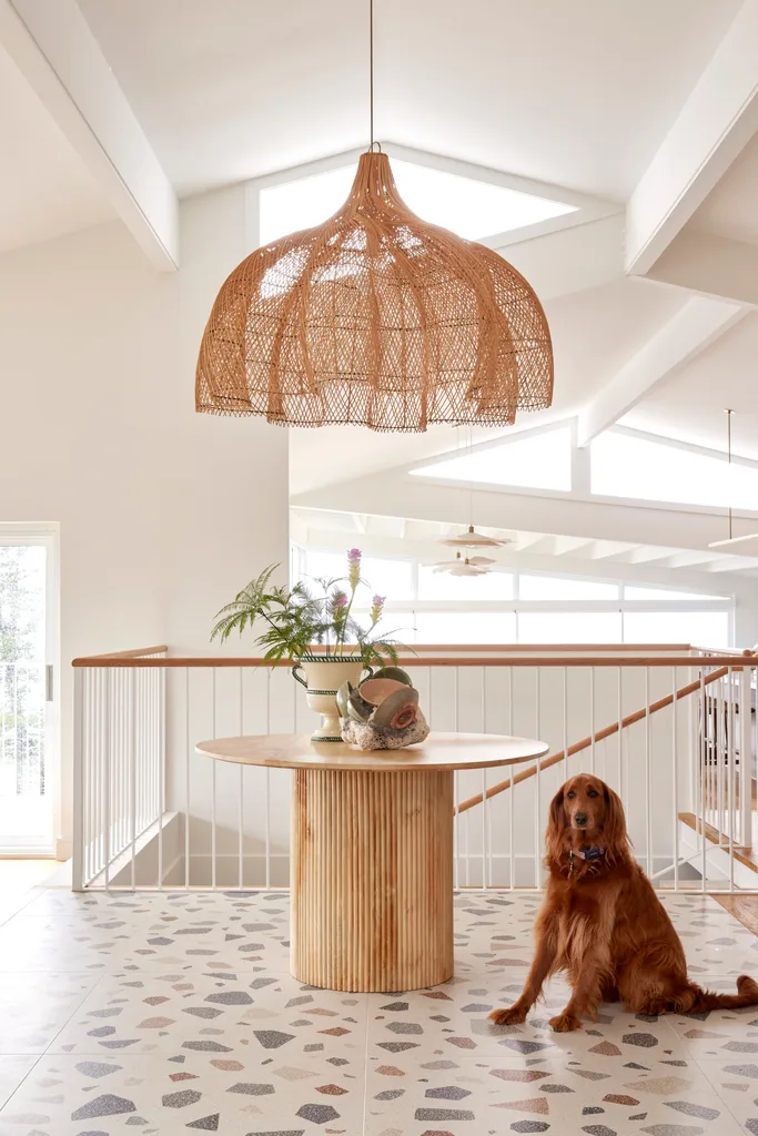 Dog Mabel sitting in an upstairs foyer with a rattan pendant light