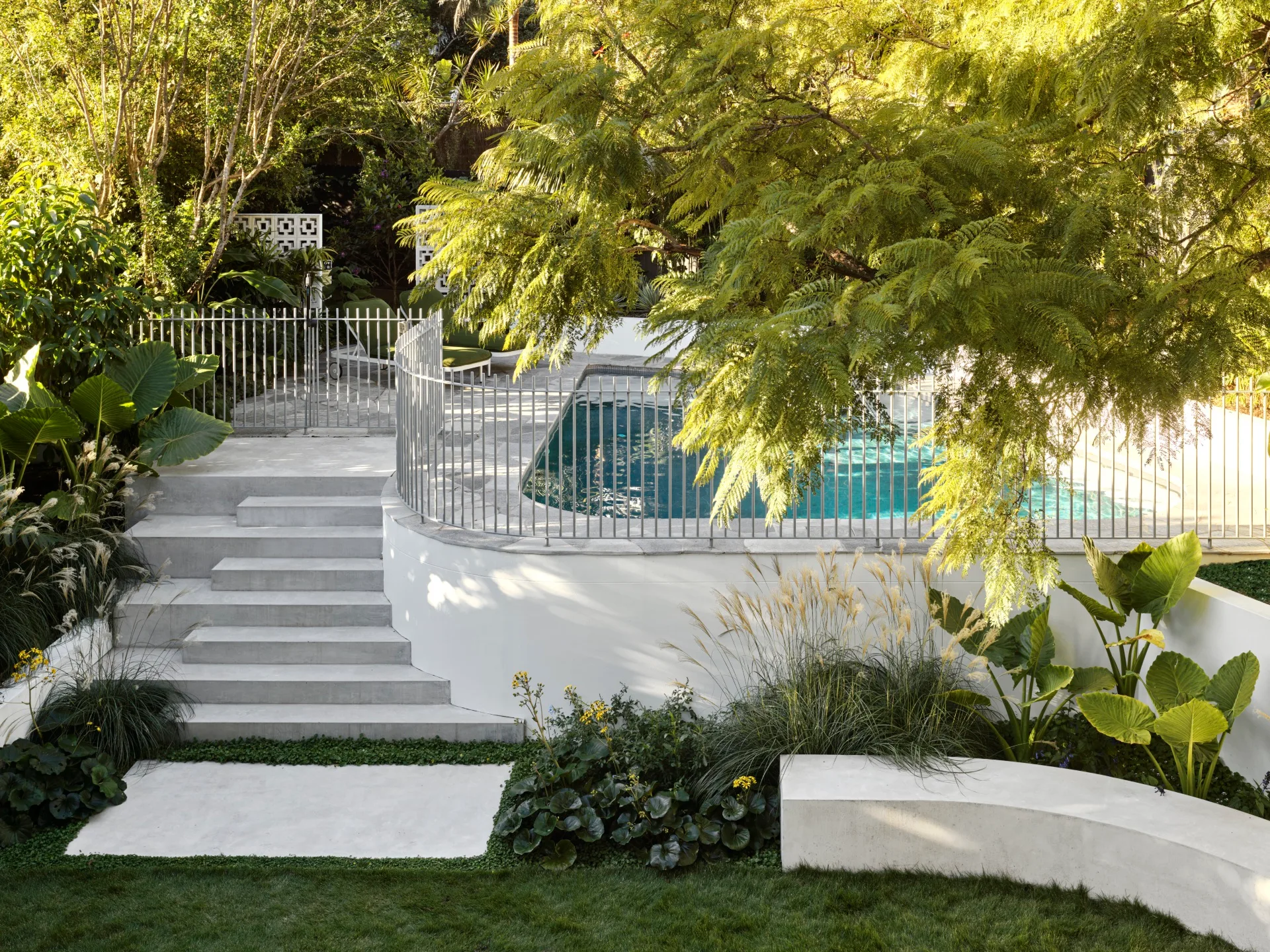 contemporary-palm-springs-mid-century-entertainer-pool-backyard-tree
