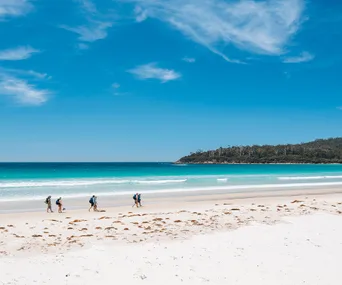 people walking on the beach at maria island