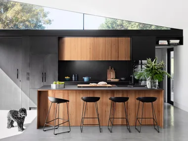 Shot of kitchen with wooden interiors.