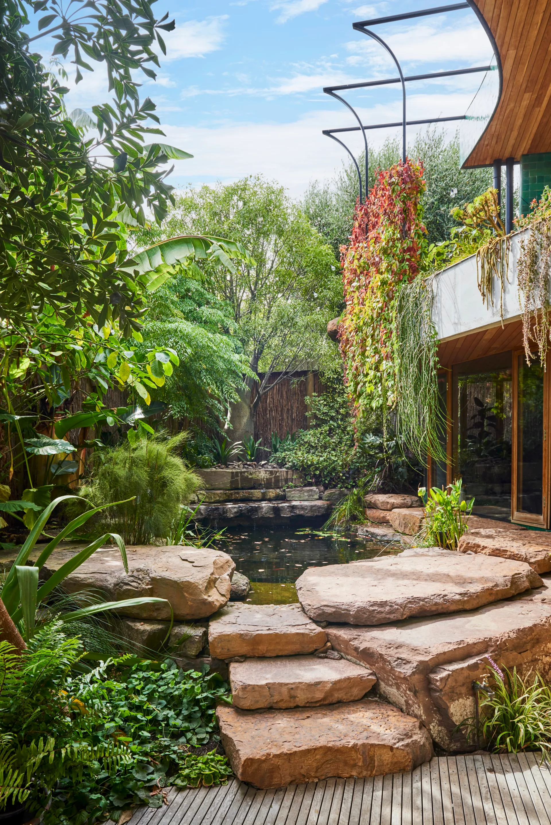 A rock pond surrounded by leafy plants