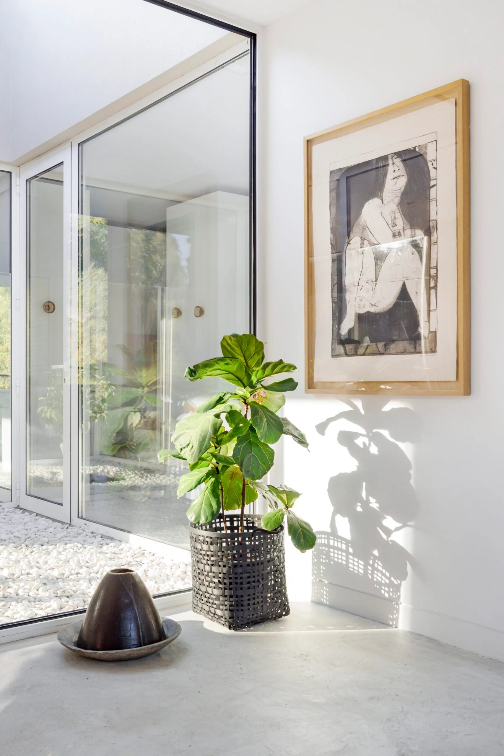 A potted fiddle leaf beside a floor-to-ceiling window
