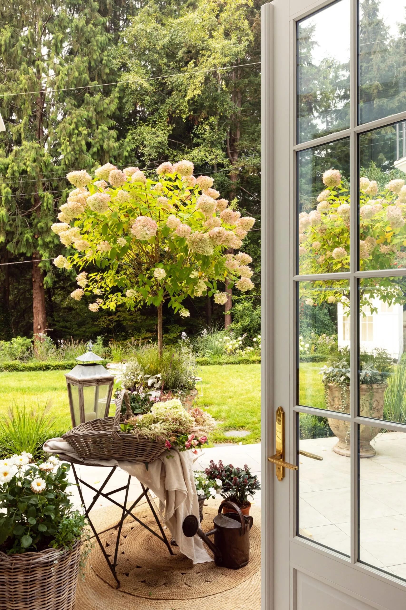 A view out a white door through to a garden setting, with potted plants and a watering can.