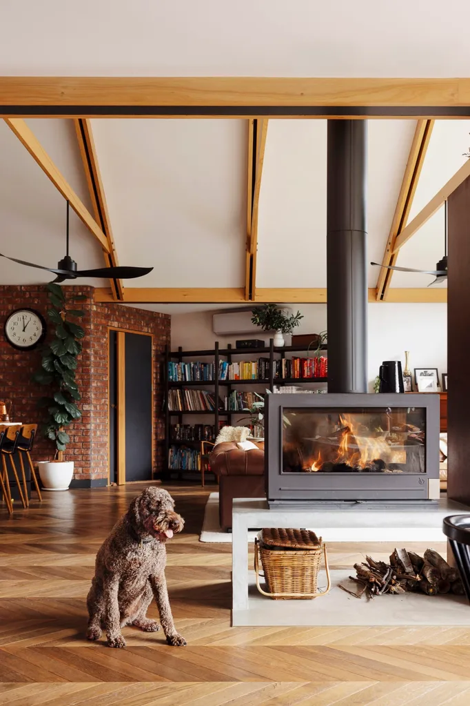 A dog sits in a living room with shelves of books and a central fireplace