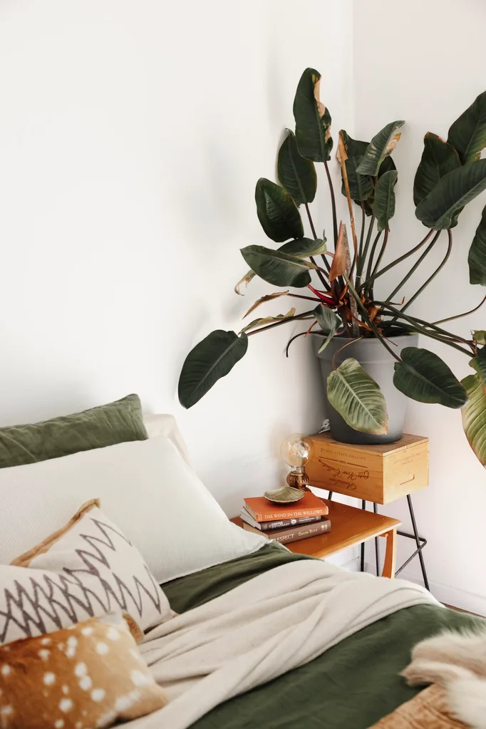 A bedroom with a timber bedside table and indoor plant