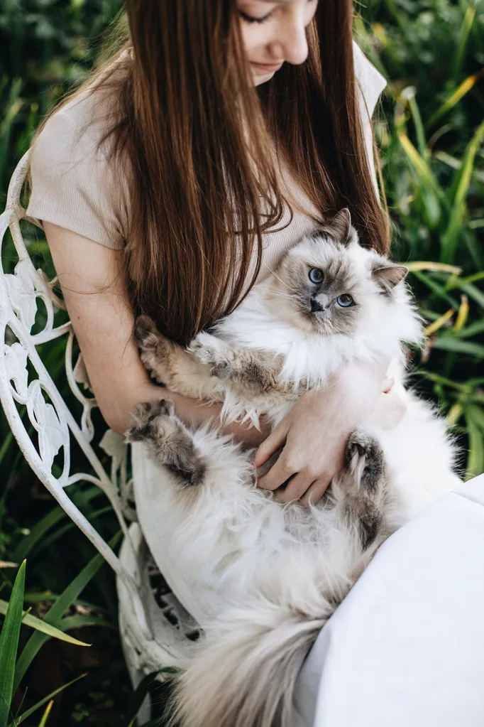 Teenage girl playing with fluffy cat