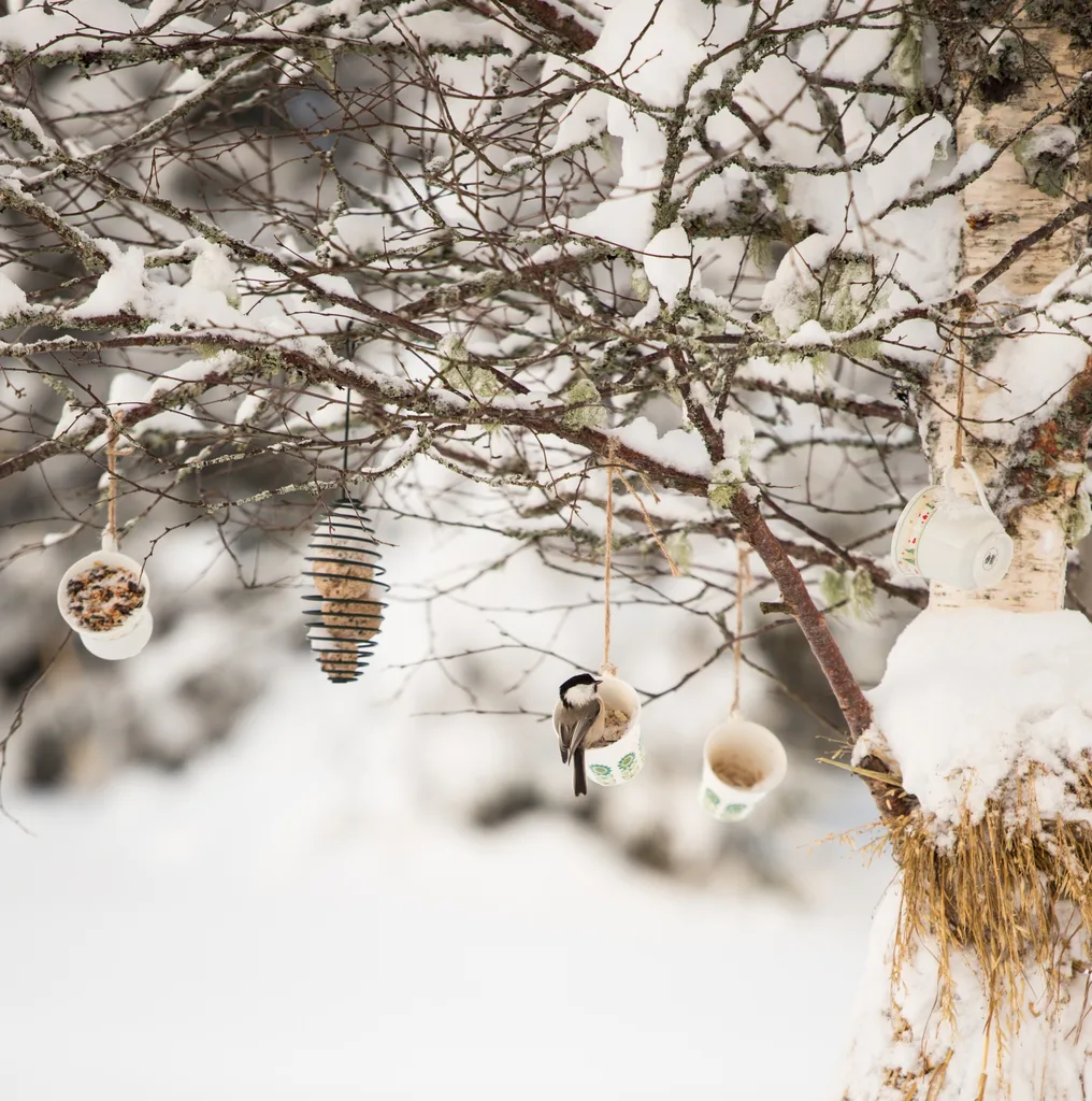 Christmas baubles in the snow