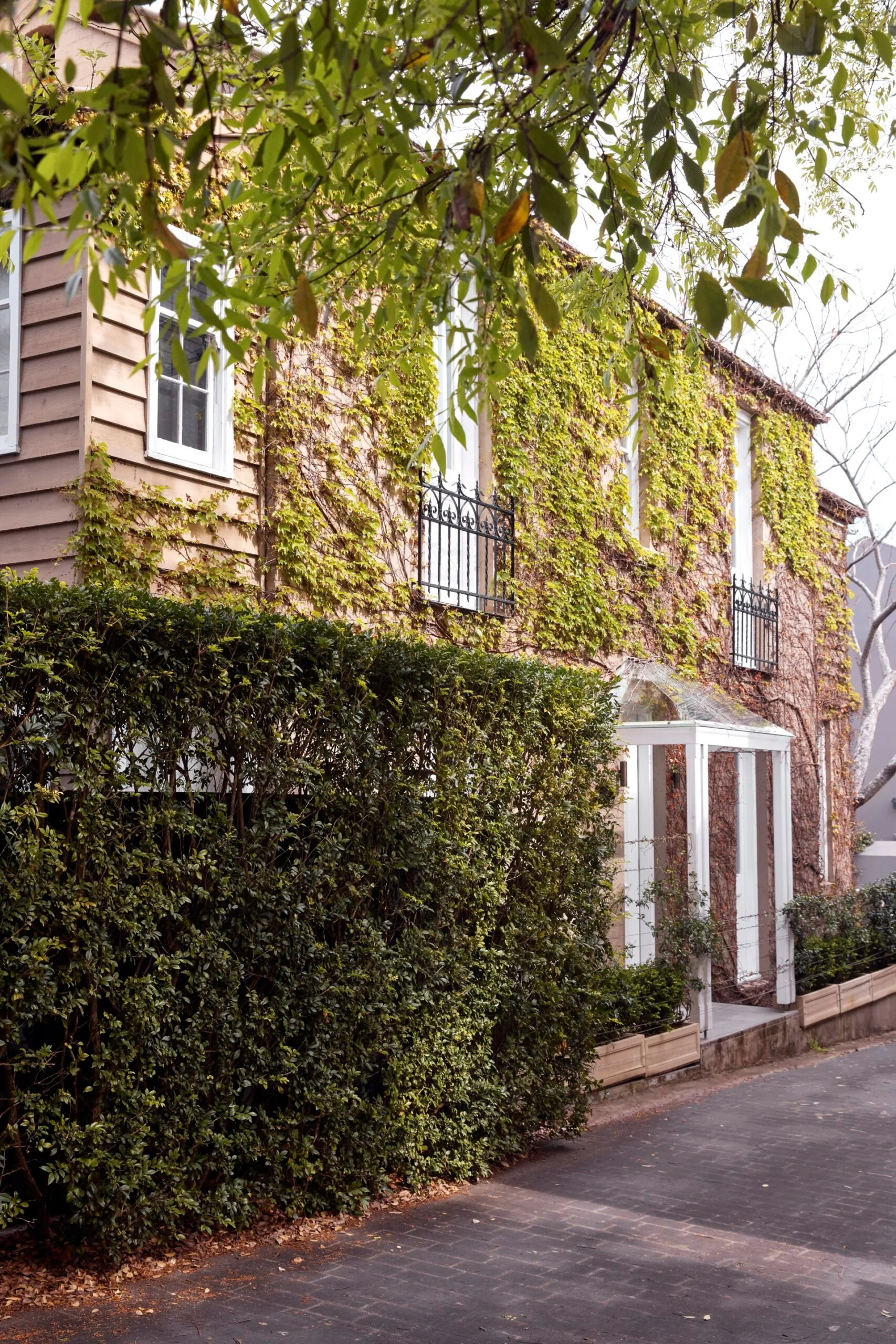 Tree-lined facade of London terrace