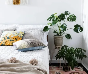 bedroom with a white metal plant stand acting as a bedside table with another plant to the right on the floor. Bed with white sheets on left side of plant stand,