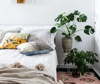 bedroom with a white metal plant stand acting as a bedside table with another plant to the right on the floor. Bed with white sheets on left side of plant stand,