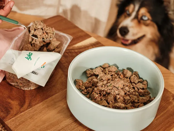 Lyka dog food