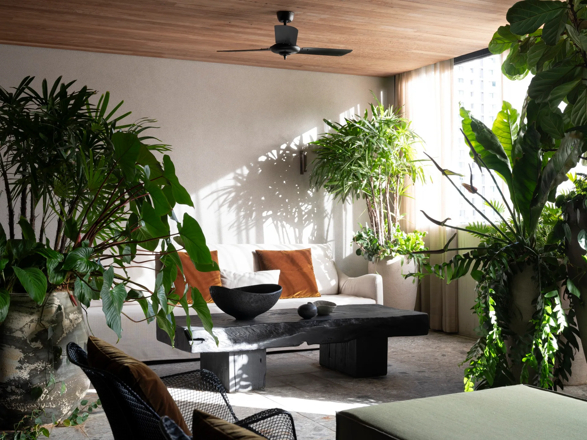 Penthouse apartment Brisbane leafy indoor plants