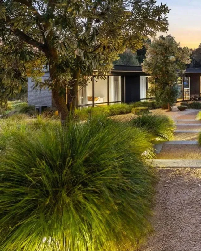 Bailey Smith Geelong Cats House