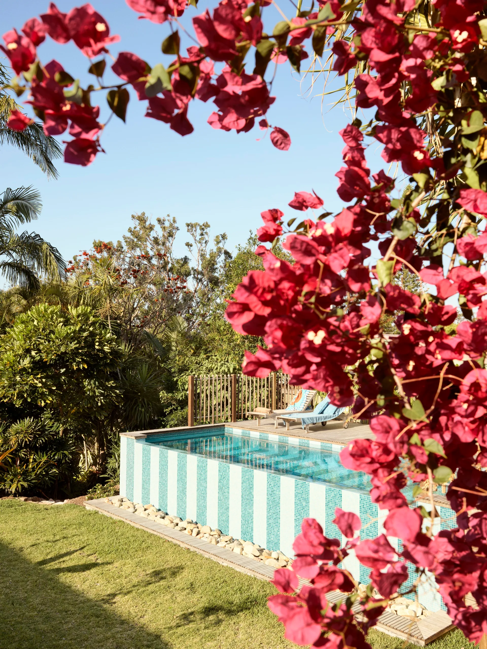 A mosaic-tiled above-ground pool framed by bougainvillea