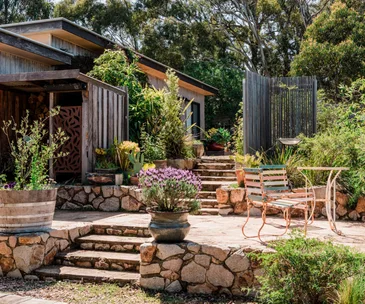 A beautiful, sun-drenched terrace garden with blooming lavender in the foreground