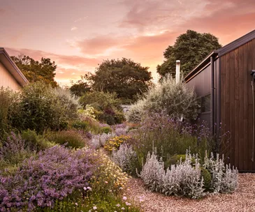 A spectacular garden with a stone path and a wild, naturalistic garden bed spilling over with flowers.