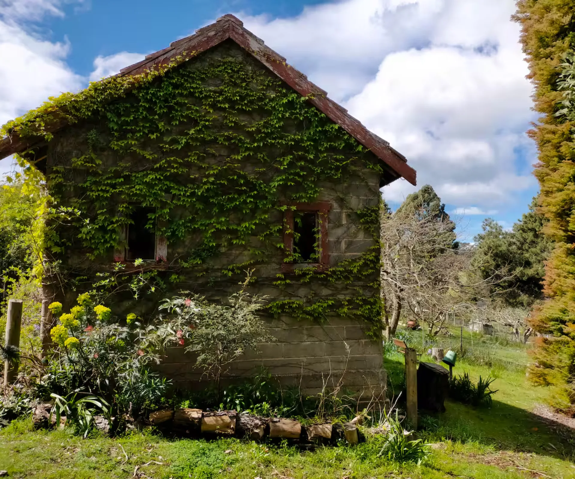 An ivy covered stone cottage