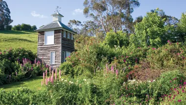 Rambling gardens at Old Wesleydale