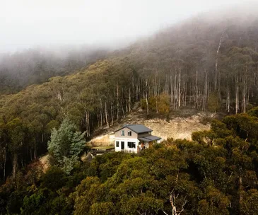 secluded farm stay in tasmania surrounded by tall trees and bushland