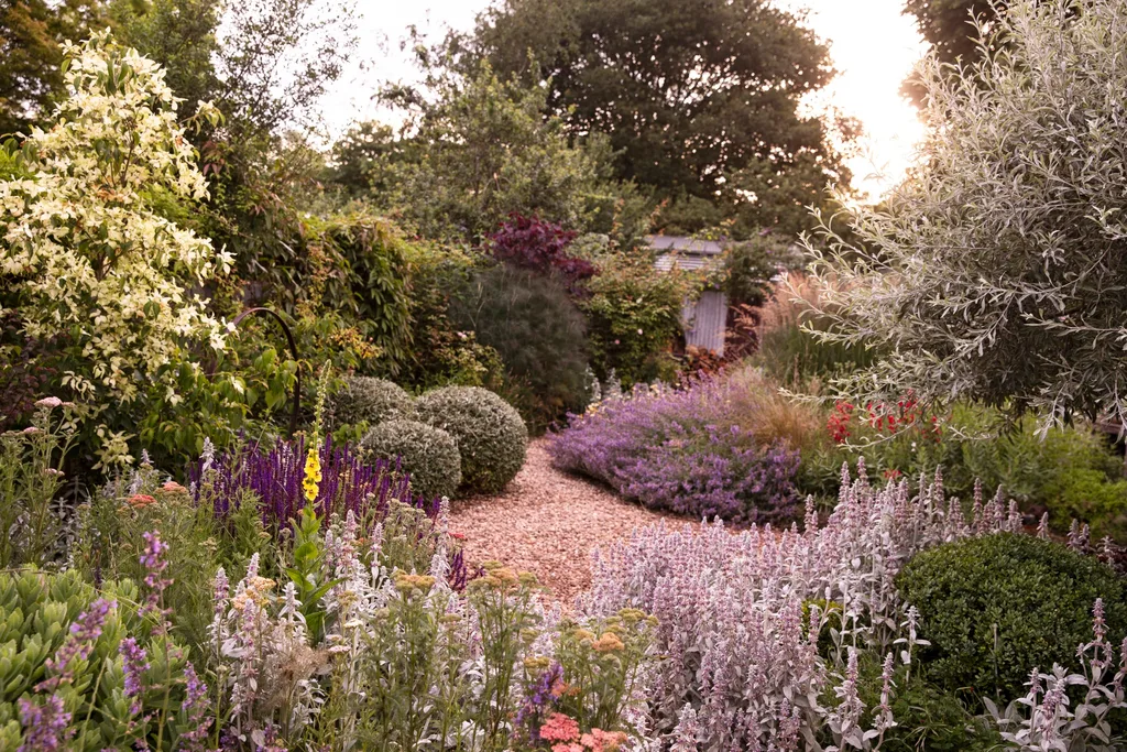 A wide shot of a romantic garden with purple and yellow flowers