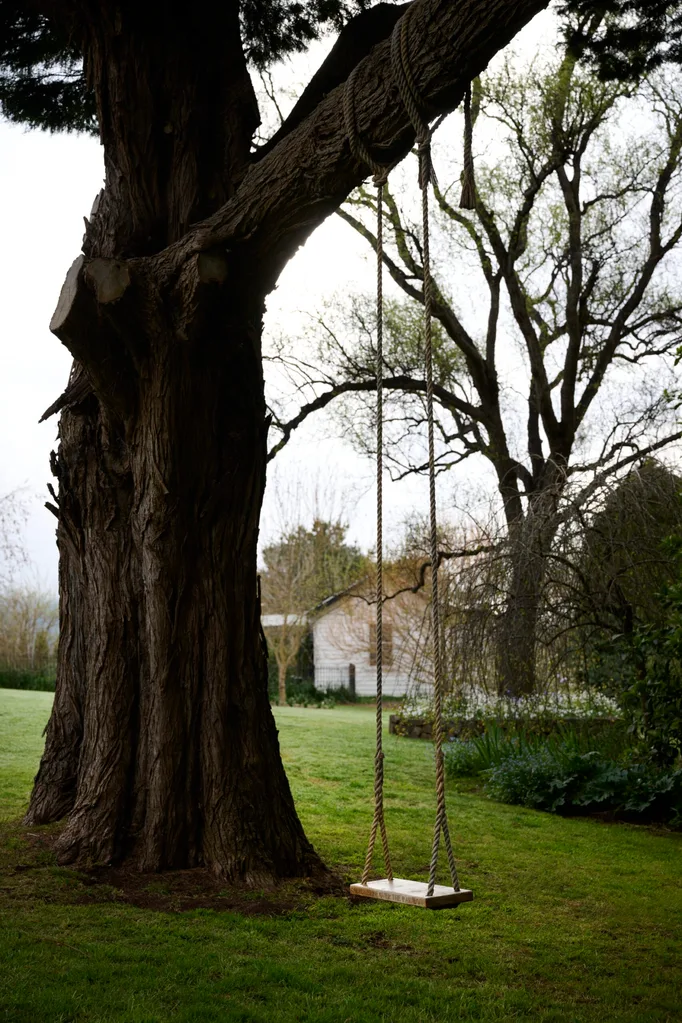 A swing hanging from an old tree in a green paddock