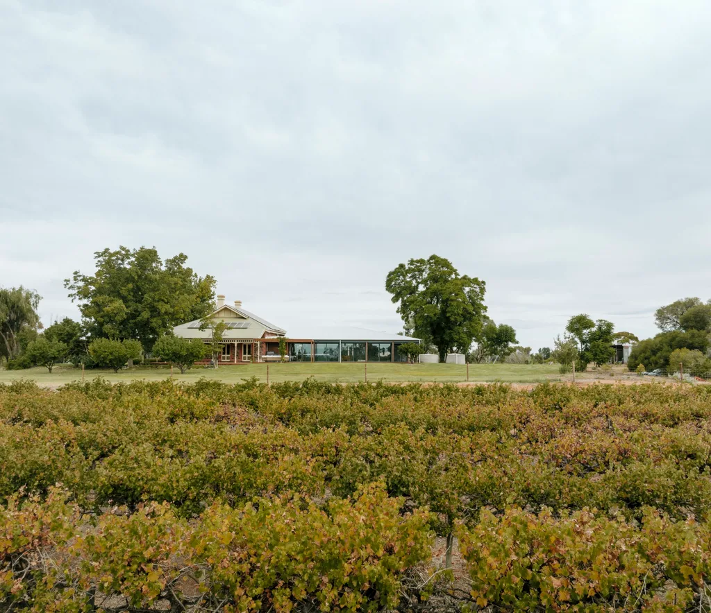 Brick home with white verandah and glass extension in a vineyard from Renmark SA home tour