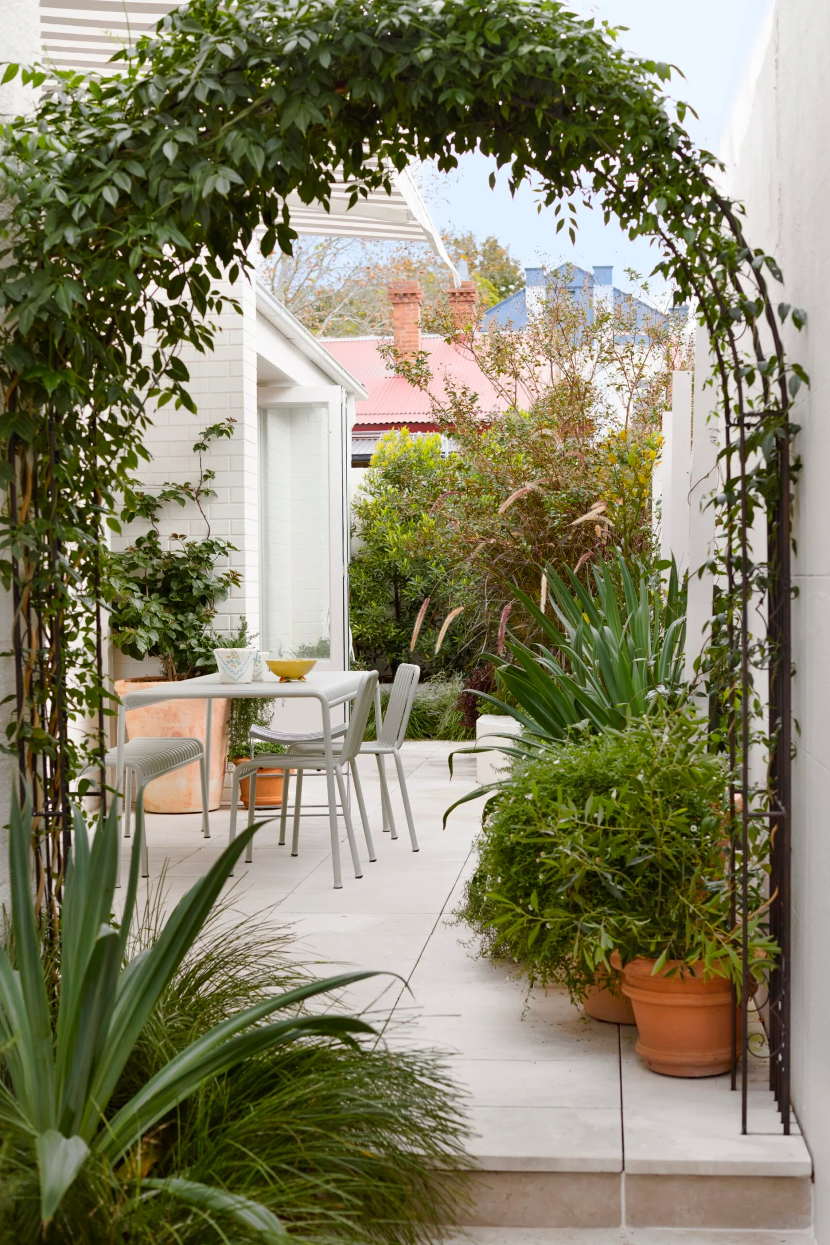 Garden in colourful Annandale terrace home
