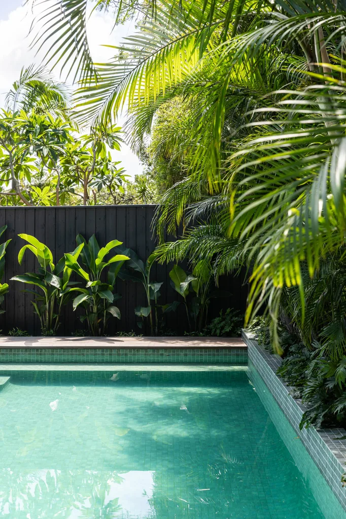 A swimming pool framed by palm trees