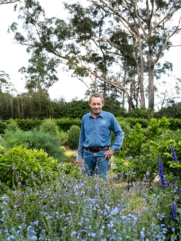 Man in denim shirt standing in garden behind bursts of blue flowers at Distillery Botanica, Central Coast