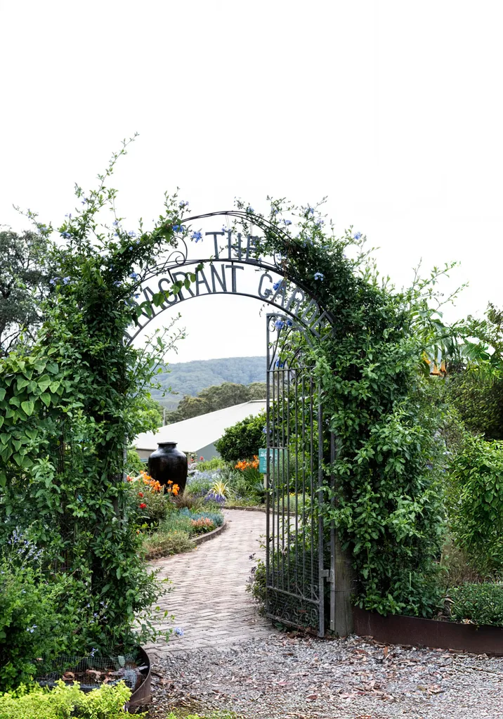 Arched iron gate covered in greenery with a metal sign over the arch reading The Fragrant Garden