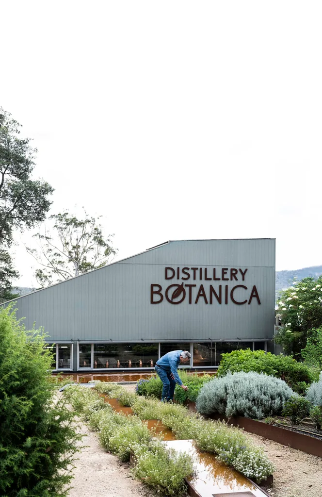 Man tending herb garden outside large building with a sign on it saying Distillery Botanica, on the Central Coast