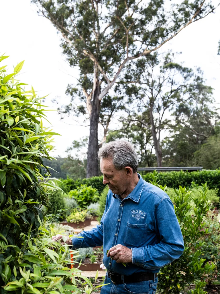 Man in lush garden at Distillery Botanica, Central Coast
