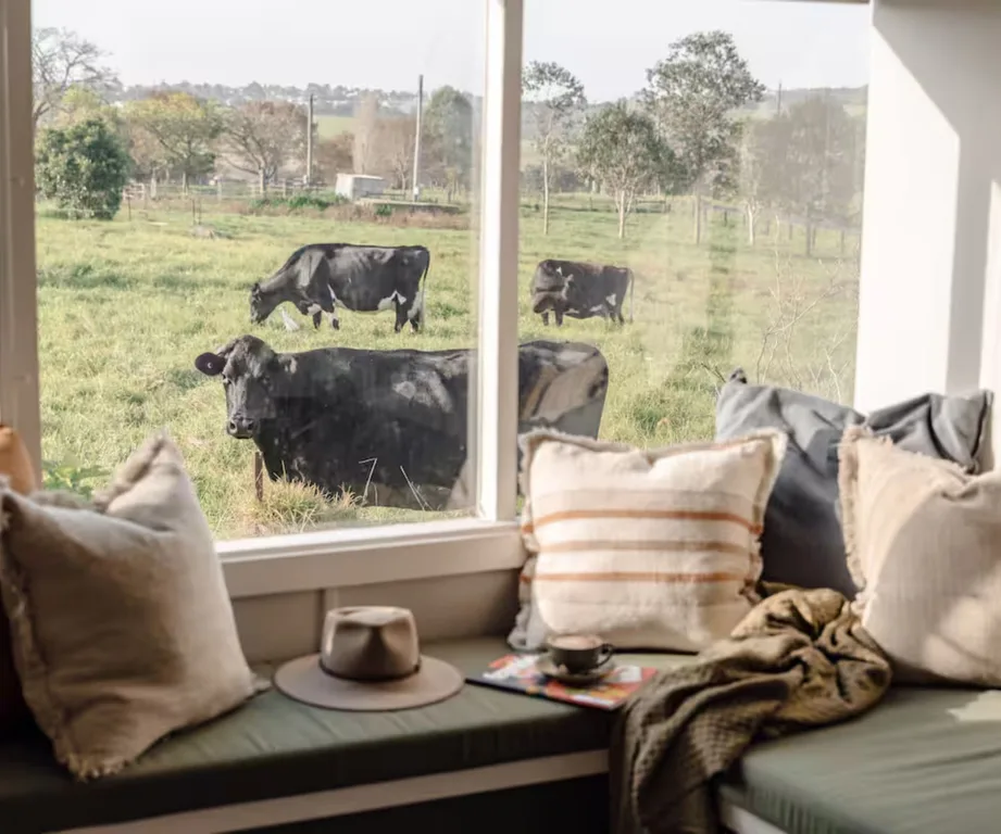 7 Best Farm Stays in NSW 2025 | Ultimate Farm Stay Travel Guide