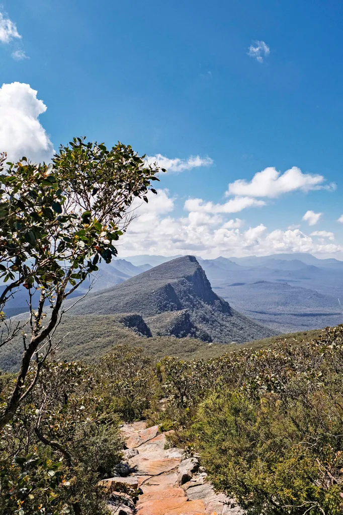 Narrow rocky path leading along a ridgeline with low bushes; view out to long line of steep wooded peaks