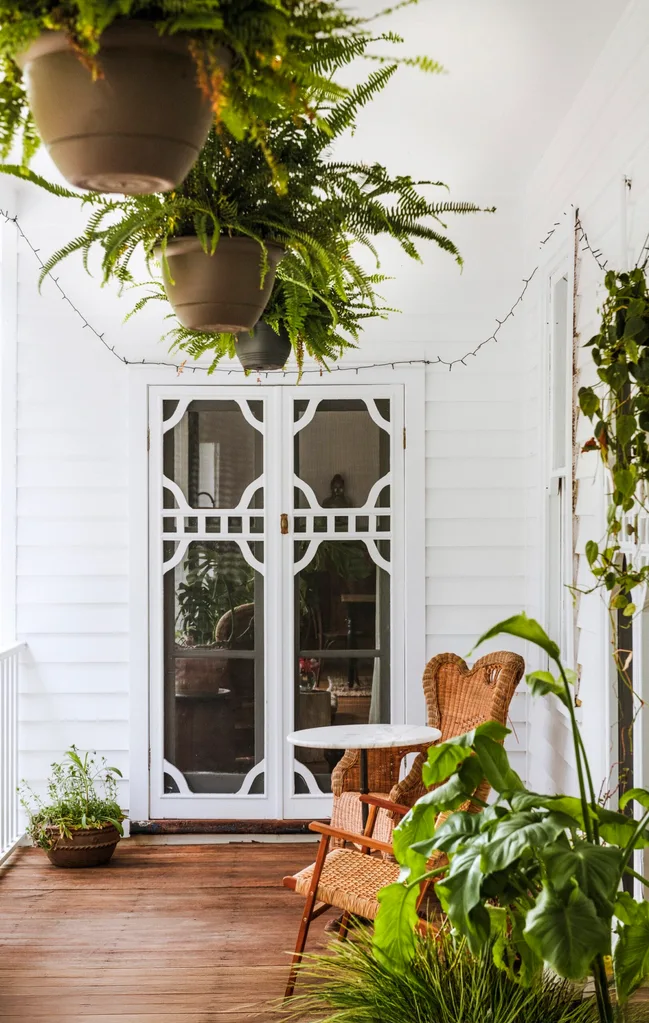 Covered verandah of white weatherboard house with hanging ferns and wicker furniture